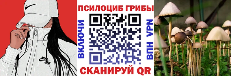 наркотики darknet состав Галлюциногенные грибы Cubensis Белебей